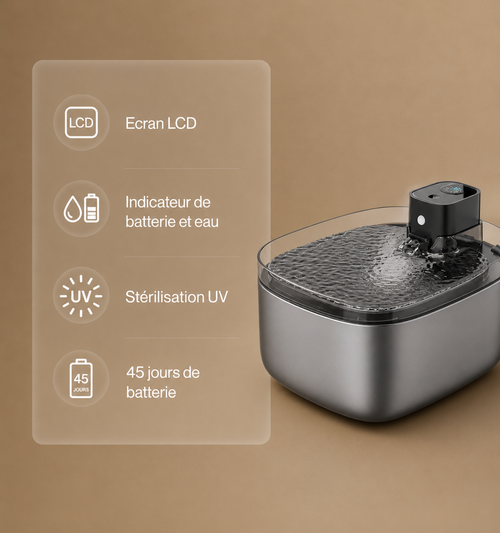 Alto - Fontaine à eau intelligente